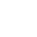 IVBV